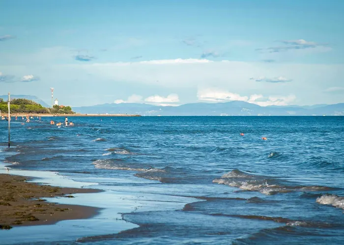 In 54671 Διαμέρισμα *