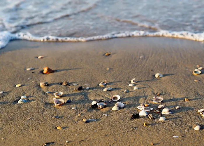 In 54671 Lejlighed Bibione